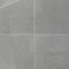 Msi Sande Gray SAMPLE Polished Porcelain Floor And Wall Tile ZOR-PT-0515-SAM